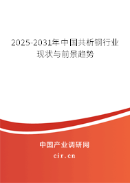 2025-2031年中國(guó)共析鋼行業(yè)現(xiàn)狀與前景趨勢(shì) 2025-2031年中國(guó)共析鋼行業(yè)現(xiàn)狀與前景趨勢(shì)