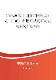 2025年版中國互聯網數據中心（IDC）市場現狀調研與發(fā)展趨勢分析報告