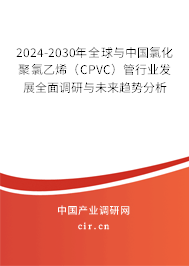 2024-2030年全球與中國(guó)氯化聚氯乙烯（CPVC）管行業(yè)發(fā)展全面調(diào)研與未來(lái)趨勢(shì)分析