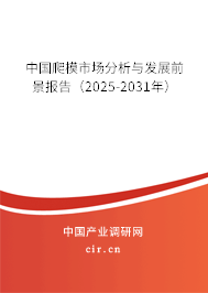 中國爬模市場分析與發(fā)展前景報告(2025-2031年) 中國爬模市場分析與發(fā)展前景報告(2025-2031年)