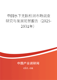 中國水下無損檢測市場調(diào)查研究與發(fā)展前景報告(2025-2031年) 中國水下無損檢測市場調(diào)查研究與發(fā)展前景報告(2025-2031年)