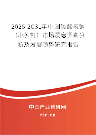 2025-2031年中國碳酸氫鈉(小蘇打)市場深度調(diào)查分析及發(fā)展趨勢研究報告 2025-2031年中國碳酸氫鈉(小蘇打)市場深度調(diào)查分析及發(fā)展趨勢研究報告