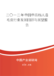 二〇一二年中國中高檔人造毛皮行業(yè)發(fā)展回顧與展望報告 二〇一二年中國中高檔人造毛皮行業(yè)發(fā)展回顧與展望報告