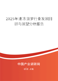 2025年速凍菠蘿行業(yè)發(fā)展回顧與展望分析報(bào)告 2025年速凍菠蘿行業(yè)發(fā)展回顧與展望分析報(bào)告