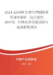 2024-2030年全球與中國苯基三溴甲基砜(光引發(fā)劑 BMPS)市場現(xiàn)狀深度調(diào)研與發(fā)展趨勢預(yù)測 2024-2030年全球與中國苯基三溴甲基砜(光引發(fā)劑 BMPS)市場現(xiàn)狀深度調(diào)研與發(fā)展趨勢預(yù)測