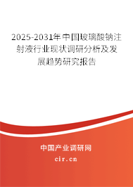 2025-2031年中國玻璃酸鈉注射液行業(yè)現(xiàn)狀調(diào)研分析及發(fā)展趨勢(shì)研究報(bào)告 2025-2031年中國玻璃酸鈉注射液行業(yè)現(xiàn)狀調(diào)研分析及發(fā)展趨勢(shì)研究報(bào)告