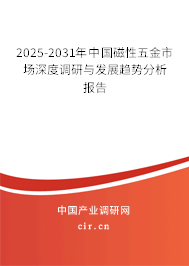 2025-2031年中國磁性五金市場深度調(diào)研與發(fā)展趨勢分析報告