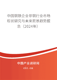 中國鋼鐵企業(yè)非鋼行業(yè)市場現(xiàn)狀研究與未來前景趨勢報告(2024年) 中國鋼鐵企業(yè)非鋼行業(yè)市場現(xiàn)狀研究與未來前景趨勢報告(2024年)