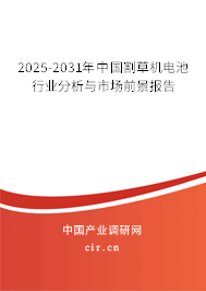 2025-2031年中國割草機電池行業(yè)分析與市場前景報告 2025-2031年中國割草機電池行業(yè)分析與市場前景報告