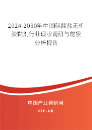 2024-2030年中國硅酸鹽無機膠黏劑行業(yè)現(xiàn)狀調(diào)研與前景分析報告
