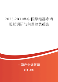 2025-2031年中國聚結(jié)器市場現(xiàn)狀調(diào)研與前景趨勢報告 2025-2031年中國聚結(jié)器市場現(xiàn)狀調(diào)研與前景趨勢報告