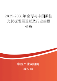 2025-2031年全球與中國(guó)柔性光伏板發(fā)展現(xiàn)狀及行業(yè)前景分析 2025-2031年全球與中國(guó)柔性光伏板發(fā)展現(xiàn)狀及行業(yè)前景分析