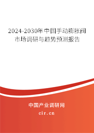 2024-2030年中國手動膨脹閥市場調(diào)研與趨勢預(yù)測報告