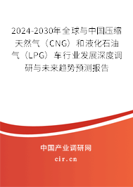 2024-2030年全球與中國壓縮天然氣（CNG）和液化石油氣（LPG）車行業(yè)發(fā)展深度調(diào)研與未來趨勢預(yù)測報(bào)告