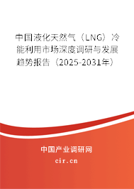 中國(guó)液化天然氣（LNG）冷能利用市場(chǎng)深度調(diào)研與發(fā)展趨勢(shì)報(bào)告（2025-2031年）