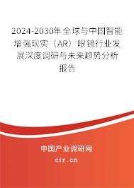 2024-2030年全球與中國智能增強(qiáng)現(xiàn)實(shí)（AR）眼鏡行業(yè)發(fā)展深度調(diào)研與未來趨勢分析報告