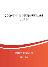 2009年中國消費(fèi)信貸行業(yè)研究報告