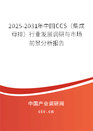 2025-2031年中國CCS(集成母排)行業(yè)發(fā)展調(diào)研與市場前景分析報告 2025-2031年中國CCS(集成母排)行業(yè)發(fā)展調(diào)研與市場前景分析報告