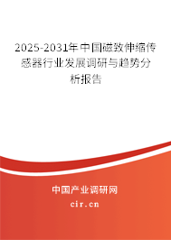 2025-2031年中國磁致伸縮傳感器行業(yè)發(fā)展調(diào)研與趨勢分析報告 2025-2031年中國磁致伸縮傳感器行業(yè)發(fā)展調(diào)研與趨勢分析報告