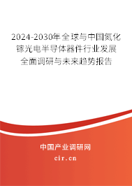 2024-2030年全球與中國氮化鎵光電半導體器件行業(yè)發(fā)展全面調(diào)研與未來趨勢報告