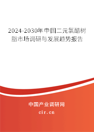 2024-2030年中國二元氯醋樹脂市場調(diào)研與發(fā)展趨勢報告 2024-2030年中國二元氯醋樹脂市場調(diào)研與發(fā)展趨勢報告