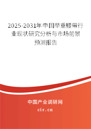 2025-2031年中國舉重腰帶行業(yè)現(xiàn)狀研究分析與市場前景預(yù)測報告 2025-2031年中國舉重腰帶行業(yè)現(xiàn)狀研究分析與市場前景預(yù)測報告