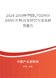 2024-2030年中國(guó)LPDDR5X DRAM市場(chǎng)調(diào)查研究與發(fā)展趨勢(shì)報(bào)告