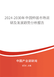 2023-2029年中國(guó)帥普市場(chǎng)調(diào)研及發(fā)展趨勢(shì)分析報(bào)告 2023-2029年中國(guó)帥普市場(chǎng)調(diào)研及發(fā)展趨勢(shì)分析報(bào)告