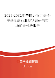 2025-2031年中國2-叔丁基-4-甲基苯酚行業(yè)現(xiàn)狀調(diào)研與市場前景分析報告 2025-2031年中國2-叔丁基-4-甲基苯酚行業(yè)現(xiàn)狀調(diào)研與市場前景分析報告