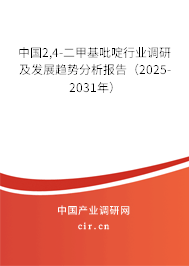中國2,4-二甲基吡啶行業(yè)調(diào)研及發(fā)展趨勢分析報告（2025-2031年）