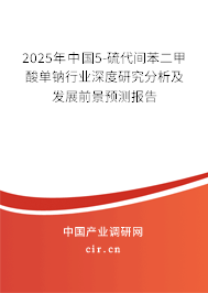 2025年中國5-硫代間苯二甲酸單鈉行業(yè)深度研究分析及發(fā)展前景預(yù)測報(bào)告 2025年中國5-硫代間苯二甲酸單鈉行業(yè)深度研究分析及發(fā)展前景預(yù)測報(bào)告