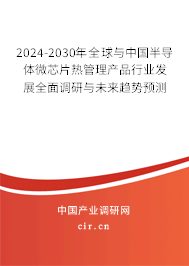 2024-2030年全球與中國半導體微芯片熱管理產(chǎn)品行業(yè)發(fā)展全面調(diào)研與未來趨勢預測