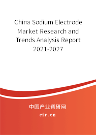 China Sodium Electrode Market Research and Trends Analysis Report 2021-2027 China Sodium Electrode Market Research and Trends Analysis Report 2021-2027