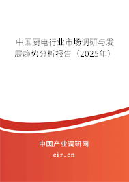 中國廚電行業(yè)市場調研與發(fā)展趨勢分析報告（2025年）