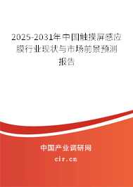 2025-2031年中國觸摸屏感應膜行業(yè)現(xiàn)狀與市場前景預測報告