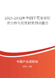 2025-2031年中國干花發(fā)展現(xiàn)狀分析與前景趨勢預(yù)測報告