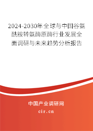 2024-2030年全球與中國谷氨酰胺轉(zhuǎn)氨酶原酶行業(yè)發(fā)展全面調(diào)研與未來趨勢分析報告 2024-2030年全球與中國谷氨酰胺轉(zhuǎn)氨酶原酶行業(yè)發(fā)展全面調(diào)研與未來趨勢分析報告