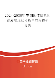 2024-2030年中國(guó)固體硫氫化鈉發(fā)展現(xiàn)狀分析與前景趨勢(shì)報(bào)告 2024-2030年中國(guó)固體硫氫化鈉發(fā)展現(xiàn)狀分析與前景趨勢(shì)報(bào)告