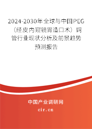 2024-2030年全球與中國PEG（經(jīng)皮內(nèi)窺鏡胃造口術(shù)）飼管行業(yè)現(xiàn)狀分析及前景趨勢(shì)預(yù)測(cè)報(bào)告