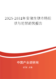 2025-2031年安徽生鐵市場現(xiàn)狀與前景趨勢報(bào)告