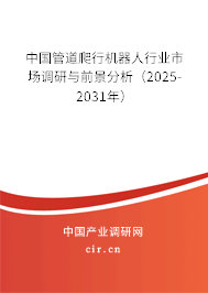 中國管道爬行機器人行業(yè)市場調(diào)研與前景分析(2025-2031年) 中國管道爬行機器人行業(yè)市場調(diào)研與前景分析(2025-2031年)