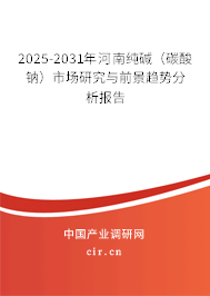 2025-2031年河南純堿（碳酸鈉）市場研究與前景趨勢分析報告