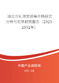 湖北冷軋薄寬鋼帶市場研究分析與前景趨勢報(bào)告（2025-2031年）
