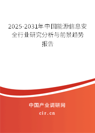 2025-2031年中國能源信息安全行業(yè)研究分析與前景趨勢(shì)報(bào)告 2025-2031年中國能源信息安全行業(yè)研究分析與前景趨勢(shì)報(bào)告