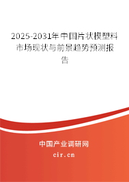 2025-2031年中國(guó)片狀模塑料市場(chǎng)現(xiàn)狀與前景趨勢(shì)預(yù)測(cè)報(bào)告