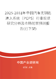 2025-2031年中國汽車無鑰匙進(jìn)入系統(tǒng)(PEPS)行業(yè)現(xiàn)狀研究分析及市場前景預(yù)測報(bào)告(已下架) 2025-2031年中國汽車無鑰匙進(jìn)入系統(tǒng)(PEPS)行業(yè)現(xiàn)狀研究分析及市場前景預(yù)測報(bào)告(已下架)