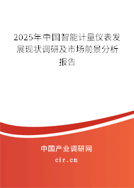 2025年中國(guó)智能計(jì)量?jī)x表發(fā)展現(xiàn)狀調(diào)研及市場(chǎng)前景分析報(bào)告 2025年中國(guó)智能計(jì)量?jī)x表發(fā)展現(xiàn)狀調(diào)研及市場(chǎng)前景分析報(bào)告