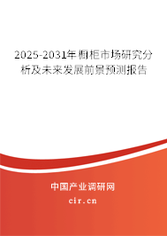2025-2031年櫥柜市場(chǎng)研究分析及未來發(fā)展前景預(yù)測(cè)報(bào)告