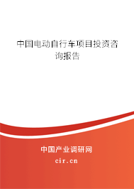 中國電動自行車項目投資咨詢報告 中國電動自行車項目投資咨詢報告