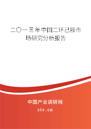 二〇一三年中國二環(huán)己胺市場研究分析報告 二〇一三年中國二環(huán)己胺市場研究分析報告